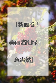 新画卷！美丽洛阳绿意盎然