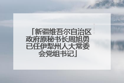 新疆维吾尔自治区政府原秘书长周旭勇已任伊犁州人大常委会党组书记