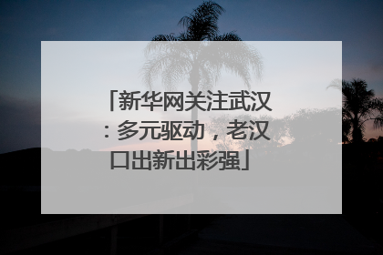 新华网关注武汉：多元驱动，老汉口出新出彩强