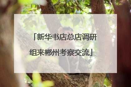 新华书店总店调研组来郴州考察交流