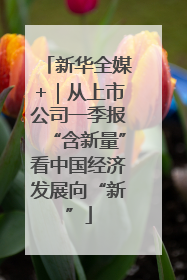 新华全媒+｜从上市公司一季报“含新量”看中国经济发展向“新”
