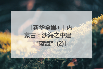 新华全媒+｜内蒙古：沙海之中建“蓝海”(2)