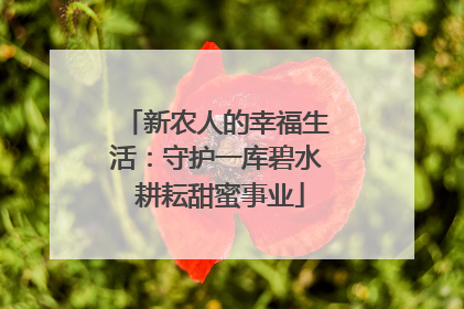 新农人的幸福生活：守护一库碧水 耕耘甜蜜事业