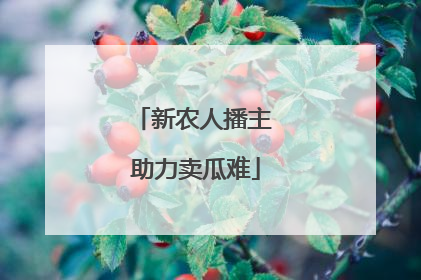 新农人播主 助力卖瓜难