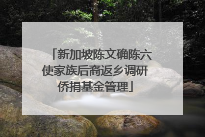 新加坡陈文确陈六使家族后裔返乡调研侨捐基金管理