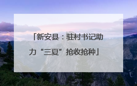 新安县：驻村书记助力“三夏”抢收抢种