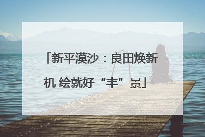 新平漠沙：良田焕新机 绘就好“丰”景