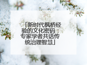 新时代枫桥经验的文化密码：专家学者共话传统治理智慧