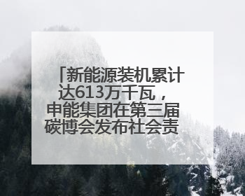 新能源装机累计达613万千瓦，申能集团在第三届碳博会发布社会责任报告