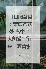 日照莒县：蒹葭苍苍处 鸟中“大熊猫”衔来一河碧水