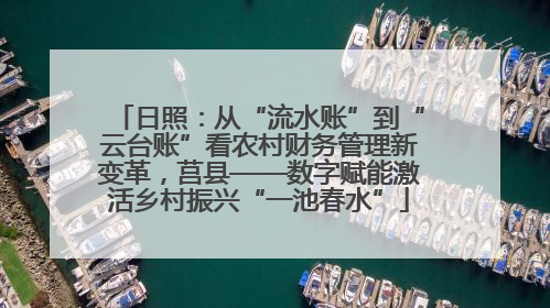 日照：从“流水账”到“云台账”看农村财务管理新变革，莒县——数字赋能激活乡村振兴“一池春水”
