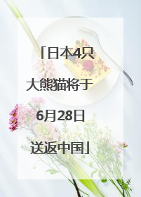 日本4只大熊猫将于6月28日送返中国