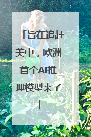 旨在追赶美中，欧洲首个AI推理模型来了