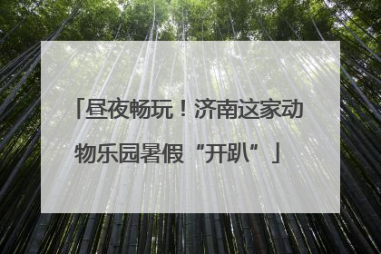 昼夜畅玩！济南这家动物乐园暑假“开趴”