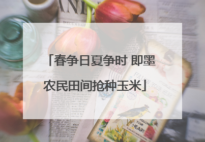 春争日夏争时 即墨农民田间抢种玉米