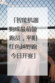 智能机器狗成最萌领跑员，平阳红色越野跑今日开赛