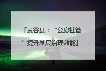 景谷县：“公房社管”提升基层治理效能
