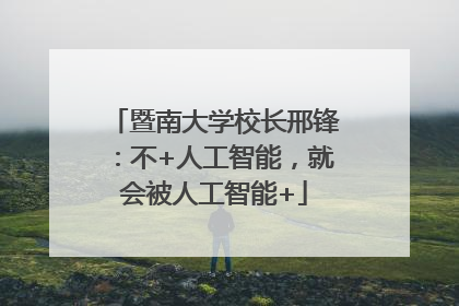 暨南大学校长邢锋：不+人工智能，就会被人工智能+