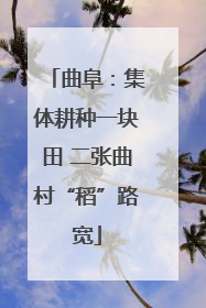 曲阜：集体耕种一块田 二张曲村“稻”路宽