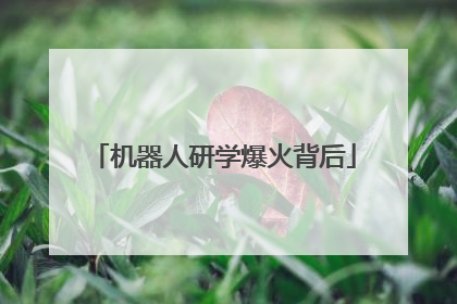 机器人研学爆火背后