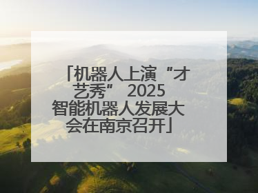 机器人上演“才艺秀” 2025智能机器人发展大会在南京召开
