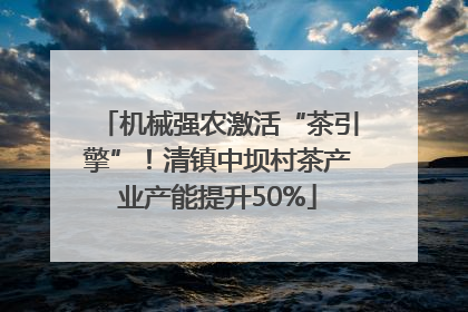 机械强农激活“茶引擎”！清镇中坝村茶产业产能提升50%