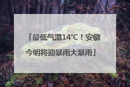 最低气温14℃！安徽今明将迎暴雨大暴雨