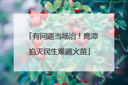 有问题当场治！鹰潭掐灭民生难题火苗