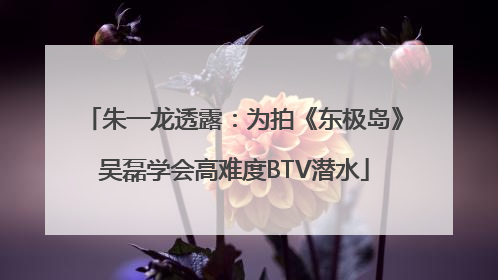 朱一龙透露：为拍《东极岛》吴磊学会高难度BTV潜水