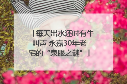 每天出水还时有牛叫声 永嘉30年老宅的“泉眼之谜”