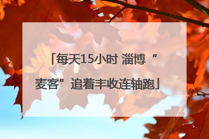 每天15小时 淄博“麦客”追着丰收连轴跑