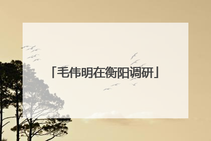 毛伟明在衡阳调研