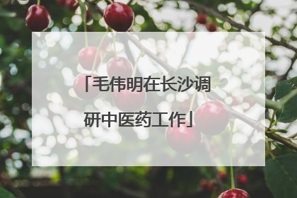 毛伟明在长沙调研中医药工作