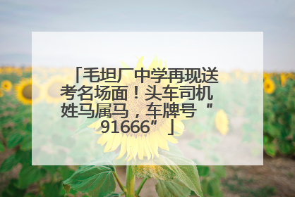 毛坦厂中学再现送考名场面！头车司机姓马属马，车牌号“91666”