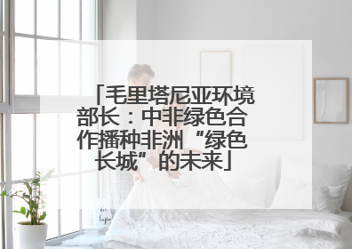 毛里塔尼亚环境部长：中非绿色合作播种非洲“绿色长城”的未来