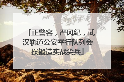 正警容，严风纪，武汉轨道公安举行队列会操锻造实战尖兵