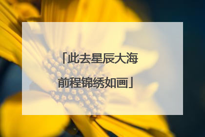 此去星辰大海 前程锦绣如画