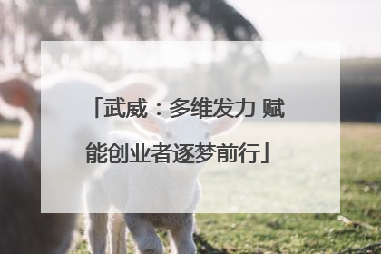 武威：多维发力 赋能创业者逐梦前行