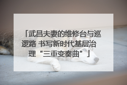 武昌夫妻的维修台与巡逻路 书写新时代基层治理“三重变奏曲”