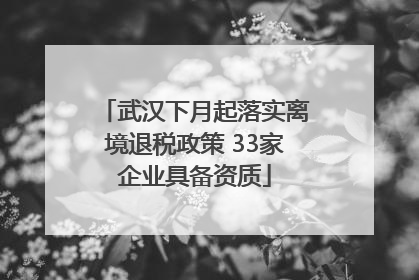 武汉下月起落实离境退税政策 33家企业具备资质