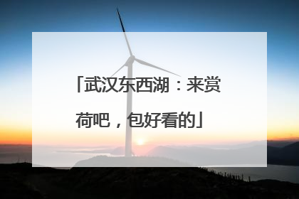 武汉东西湖：来赏荷吧，包好看的
