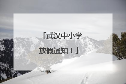 武汉中小学放假通知！