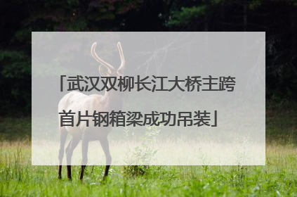 武汉双柳长江大桥主跨首片钢箱梁成功吊装