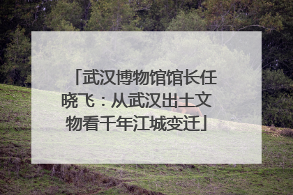 武汉博物馆馆长任晓飞：从武汉出土文物看千年江城变迁