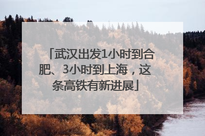 武汉出发1小时到合肥、3小时到上海，这条高铁有新进展
