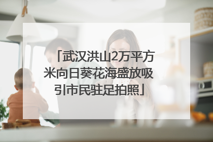 武汉洪山2万平方米向日葵花海盛放吸引市民驻足拍照