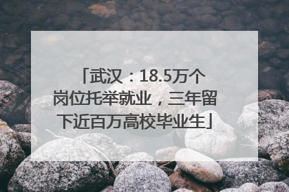 武汉：18.5万个岗位托举就业，三年留下近百万高校毕业生