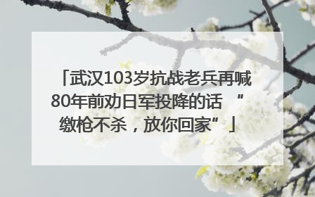 武汉103岁抗战老兵再喊80年前劝日军投降的话 “缴枪不杀，放你回家”