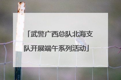 武警广西总队北海支队开展端午系列活动