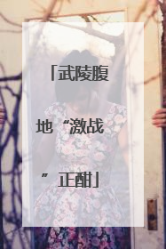 武陵腹地“激战”正酣
